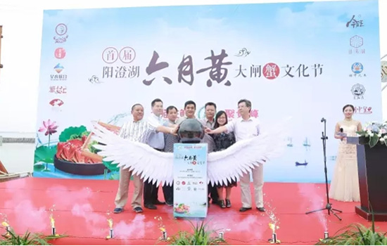 “小鲜肉”上岸：首届六月黄大闸蟹文化节开幕！