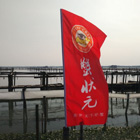 郑州地区购买阳澄湖大闸蟹为什么优选蟹状元！