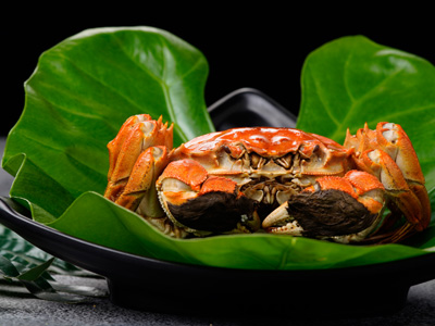 中国特色美食——势不可挡的大闸蟹