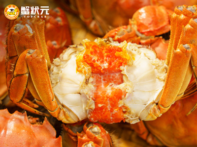 探寻大闸蟹背后的文化意蕴与美食传奇