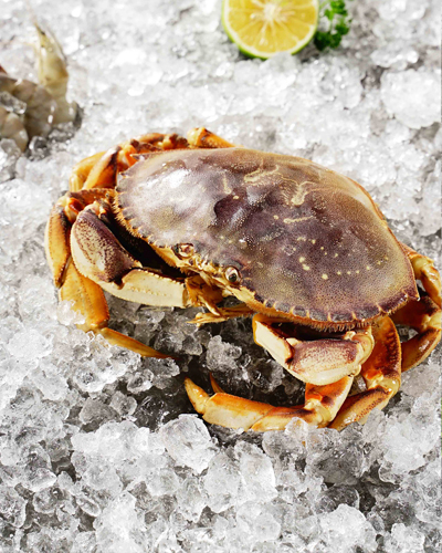 又称“面包蟹”，因生长于寒冷深海海域，其脂肪积累充分，体大肉肥，蟹黄丰盈，钳肉丰满，蟹膏入口鲜香，回味悠长。