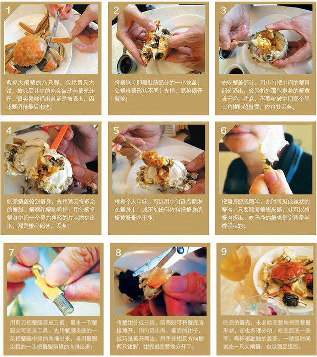 阳澄湖大闸蟹食用流程图
