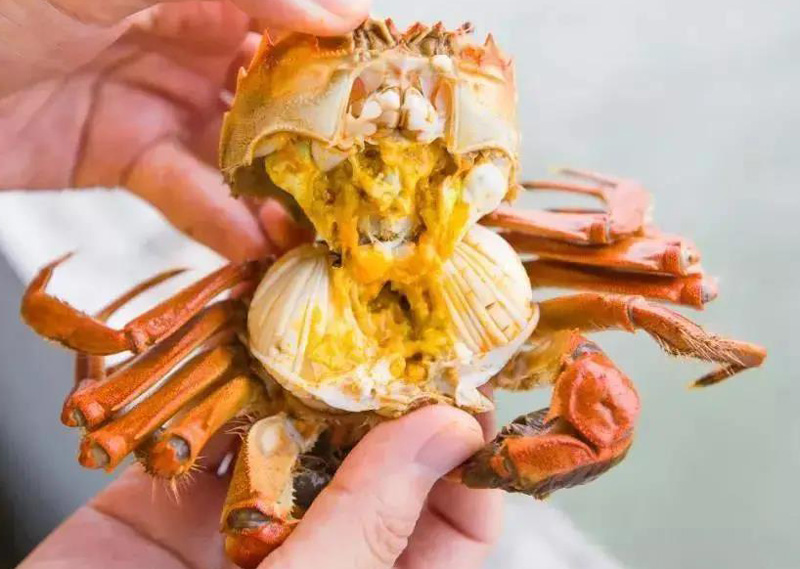 大闸蟹美食